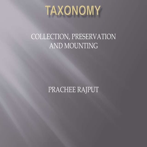 Taxonomic collection, preservation and mounting