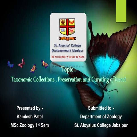 Taxonomic Collections, Preservation and Curating of Insects