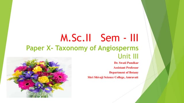 Taxonomic hierarchy