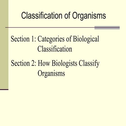 Student exploration dichotomous keys (answer key) | PDF