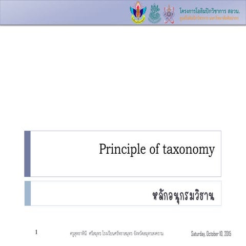 Taxonomy