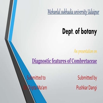 Diagnostic Features of Combretaceae Family-Pushkar dangi, Department of Botan...