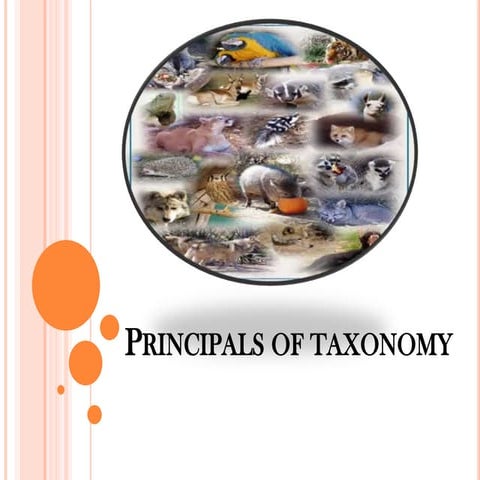 taxonomy.pdf good ppt read it is good one