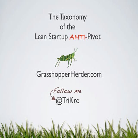 Taxonomy of the Lean Startup Anti-Pivot