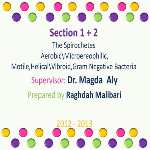 Taxonomy of bacteria