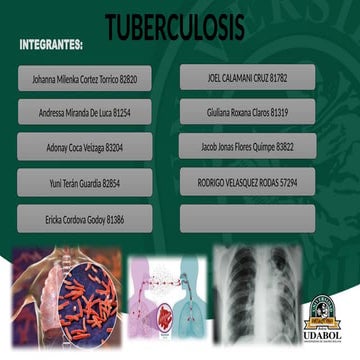 TB-APScompleto maximo ok perr final.pptx