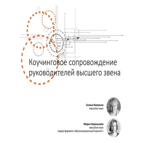 Коучинговое сопровождение руководителей высшего звена. 