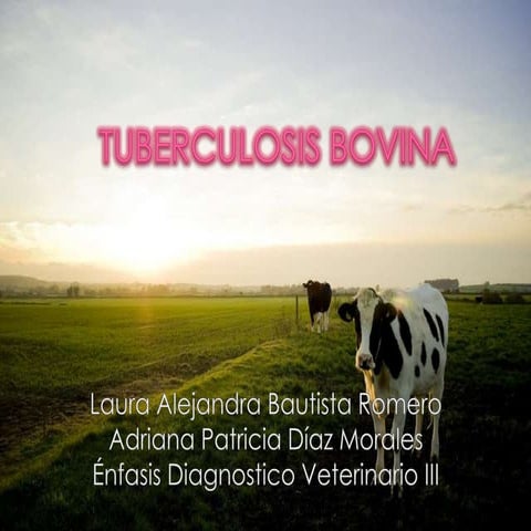 Tb bovina (Tuberculosis bovina)