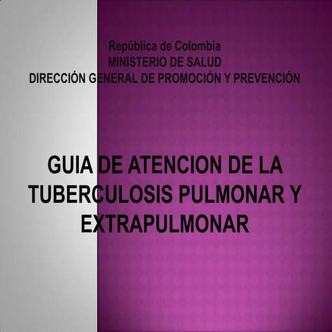 Guia De Atencion De La Tuberculosis Pulmonar Y Extrapulmonar