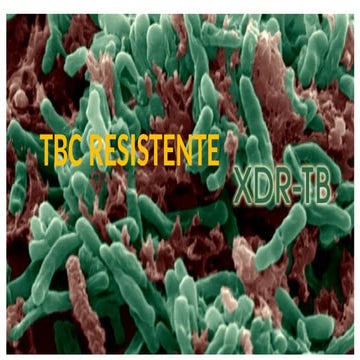 Tratamiento de la tuberculosis | PDF