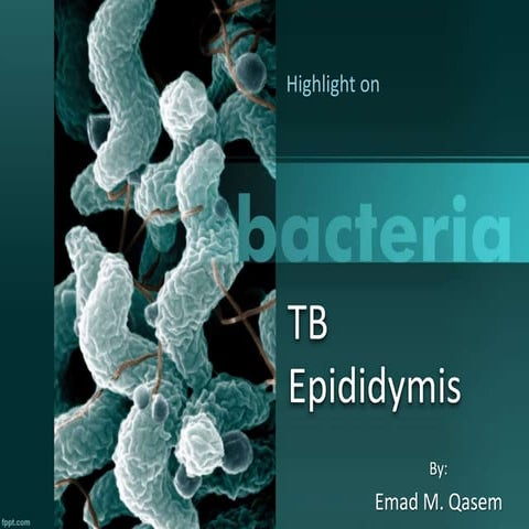 Tb epididymitis, By Emad M.Qasem