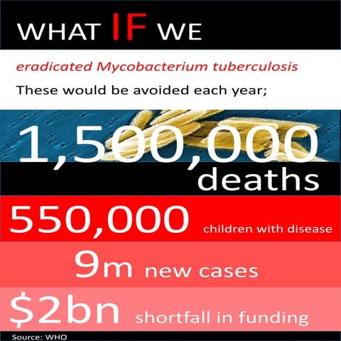 TB infographic