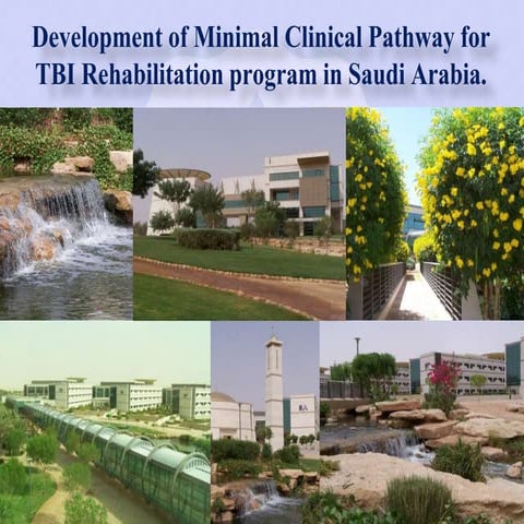 Traumatic brain injury Rehabilitation Pathway