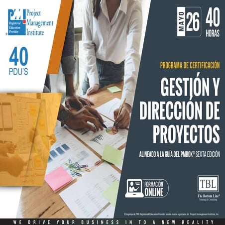 Conceptos PMIS - Sistemas de Información para la Gestión de Proyectos | PDF