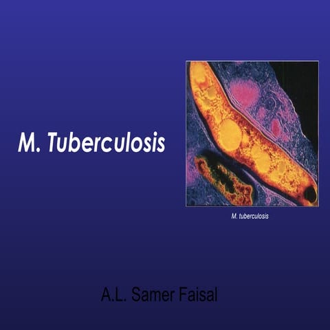 Tb lab | PPT