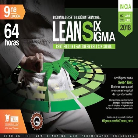 SIX SIGMA GREEN BELT | PDF