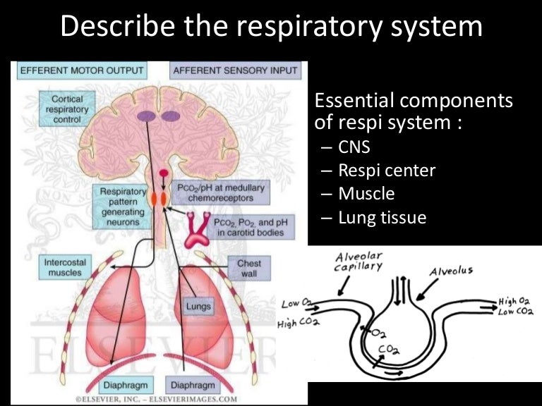 Respiratory condition