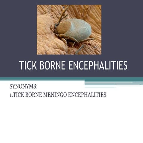 tick borne encephalitis