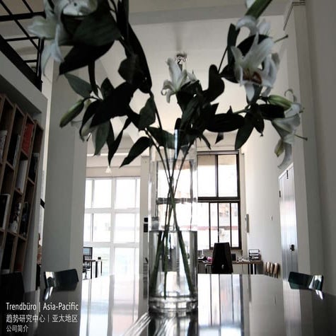 Chinese Version of Trendbuero Asia-Pacific – company profile