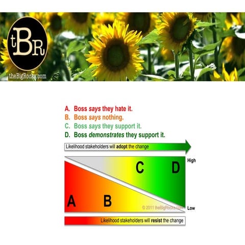 Tbr sample slides | PPTX