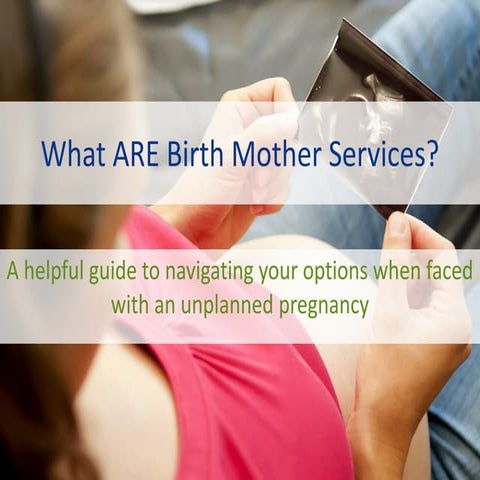 What Are Birth Mother Services?