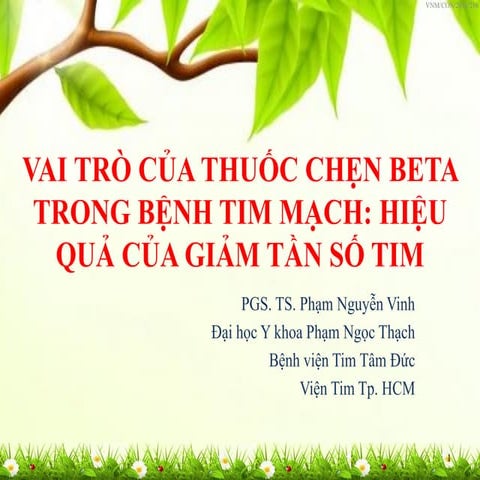 Vai trò chẹn Beta trong bệnh tim mạch