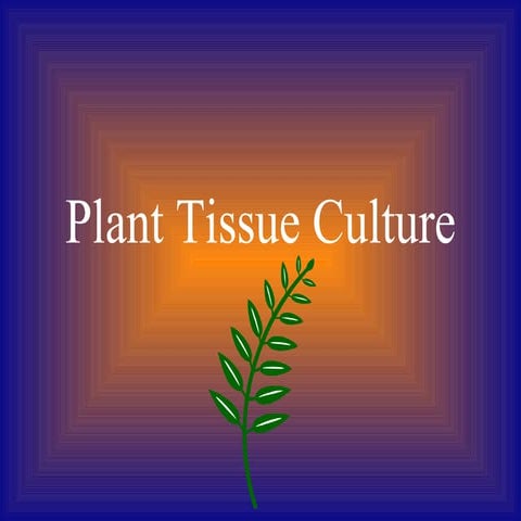 Tissue culture