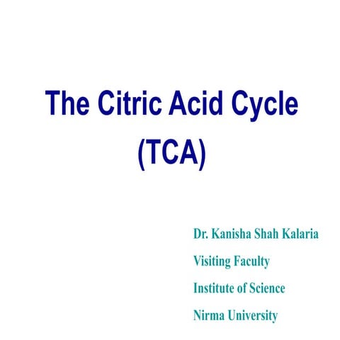 TCA Cycle.pdf
