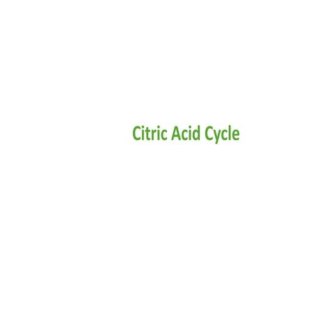 TCA cycle citric acid cycle krebs cycle.