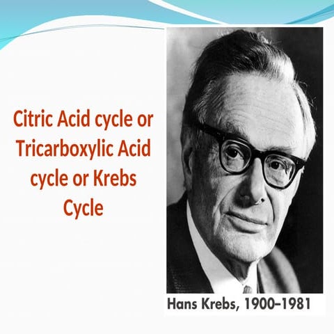 TCA Cycle.ppt biochemistry of citric acid cycle | PPT