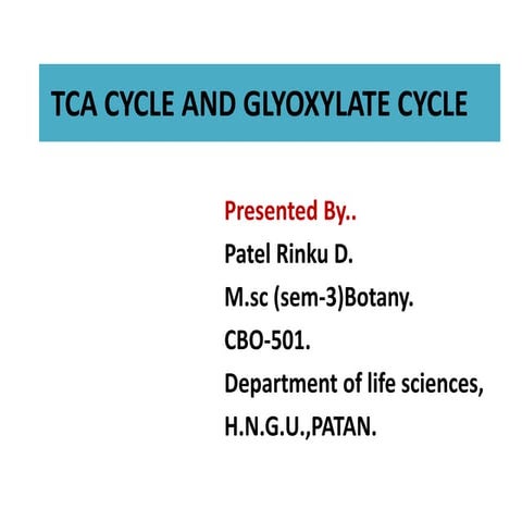 Tca cycle and glyoxylate cycle   