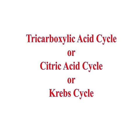 Tca cycle b.pharm
