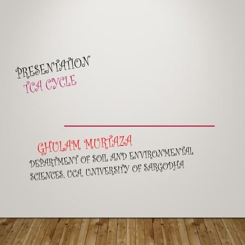 TCA Cycle Presentation by Ghulam Murtaza