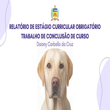 relatorio final de estagio obrigatorio em clinica de pequenos animais