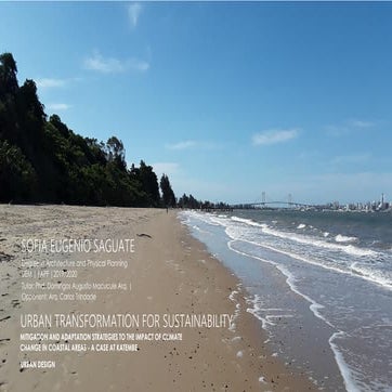 Urban Transformation for Sustainability:Mitigation and Adaptation strategies ...