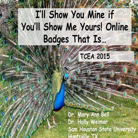 Tcea 2015 Digital Badges 