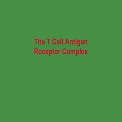 T Cell Antigen Receptor