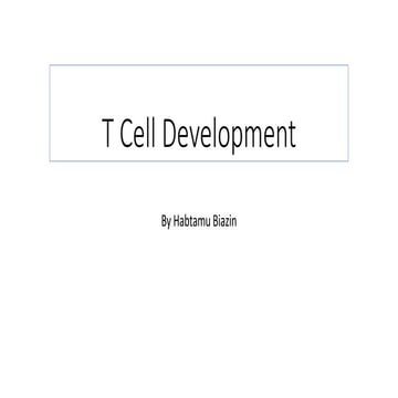 T Cell Development.pptx
