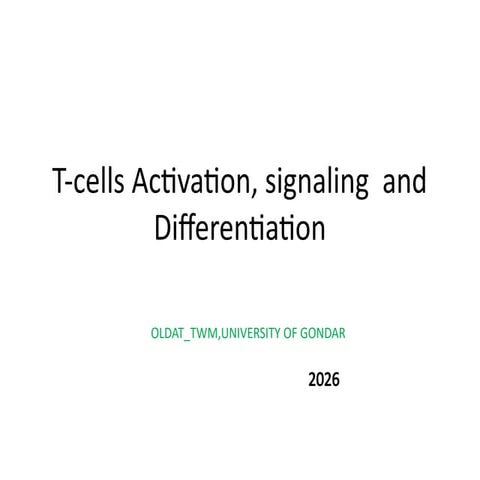 Comprehensive Overview of T Lymphocyte Activation and Immune Response ...
