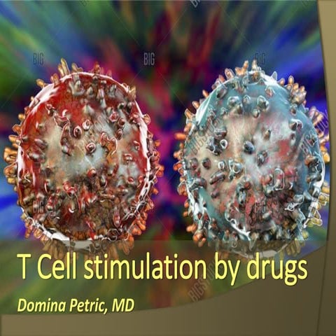 T cell stimulation by drugs