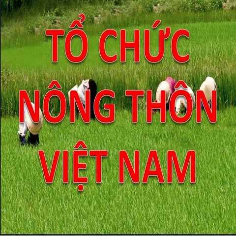 Tổ chức nông thôn việt nam