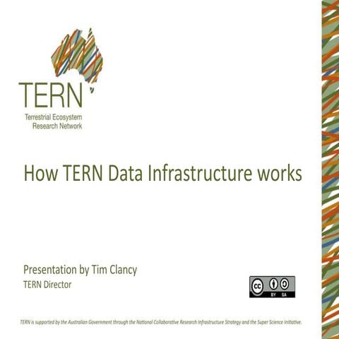 How TERN Data Infrastructure works