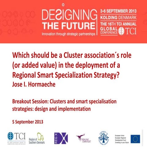 TCI 2013 Which should be a Cluster association´s role (or added value) in the...