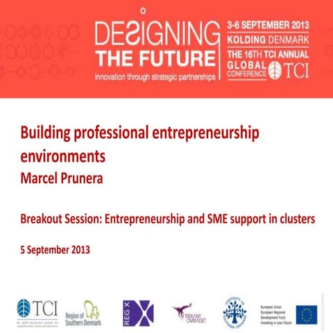 TCI 2013 Building professional entrepreneurship environments