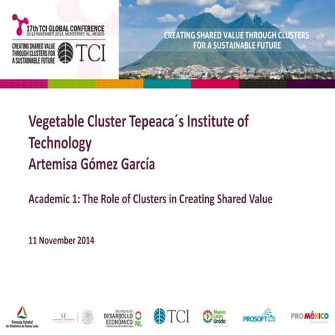 TCI 2014 Vegetable Cluster Tepeaca´s Institute of Technology