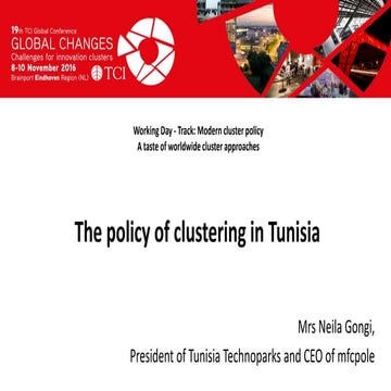 TCI 2016 The policy of clustering in Tunisia