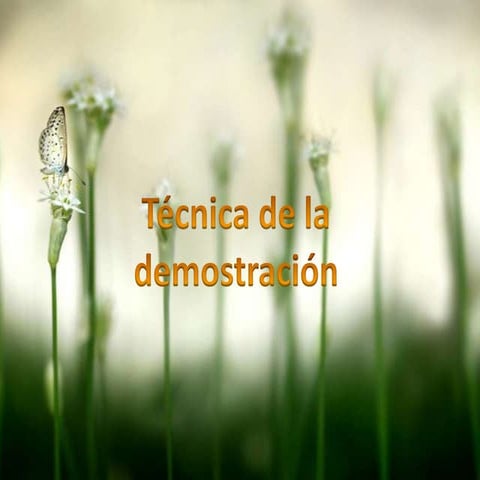 Técnica de la demostración