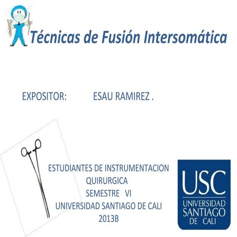 Técnicas de fusión intersomática