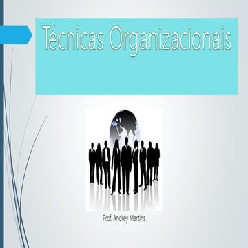 Técnicas Organizacionais
