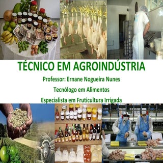 Técnico em agroindústria formação p...